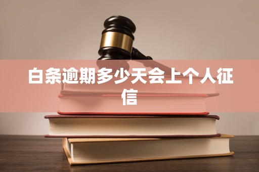 白条逾期多少天会上个人征信