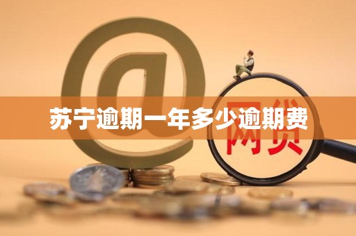 苏宁逾期一年多少逾期费