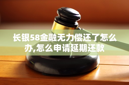 长银58金融无力偿还了怎么办,怎么申请延期还款