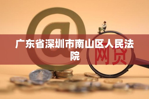 广东省深圳市南山区人民法院