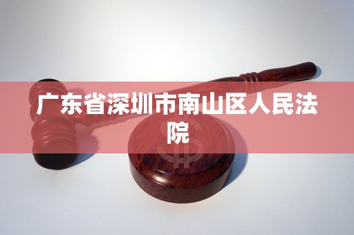 广东省深圳市南山区人民法院