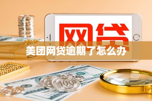 美团网贷逾期了怎么办