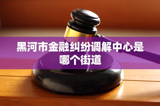 黑河市金融纠纷调解中心是哪个街道