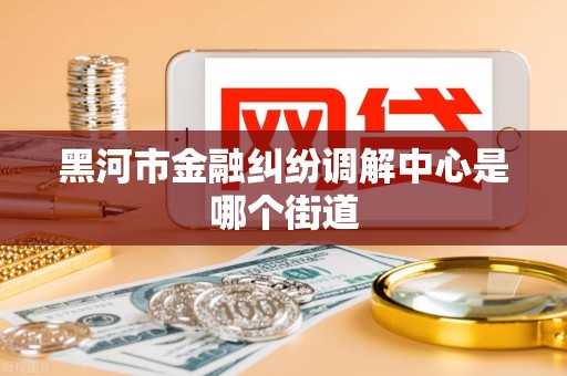 黑河市金融纠纷调解中心是哪个街道