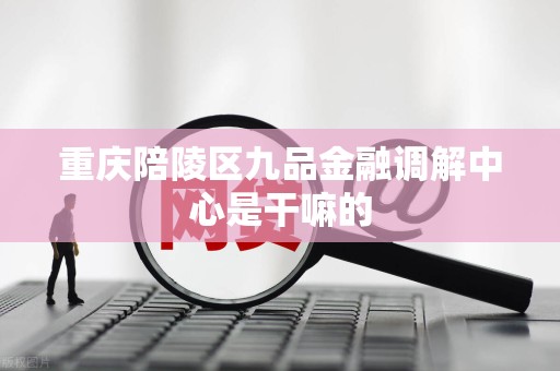 重庆陪陵区九品金融调解中心是干嘛的
