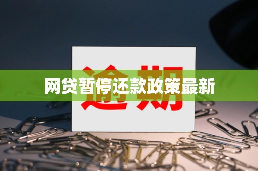 网贷暂停还款政策最新