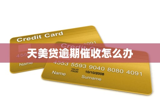 天美贷逾期催收怎么办