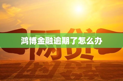 鸿博金融逾期了怎么办