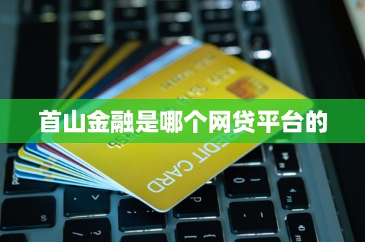 首山金融是哪个网贷平台的