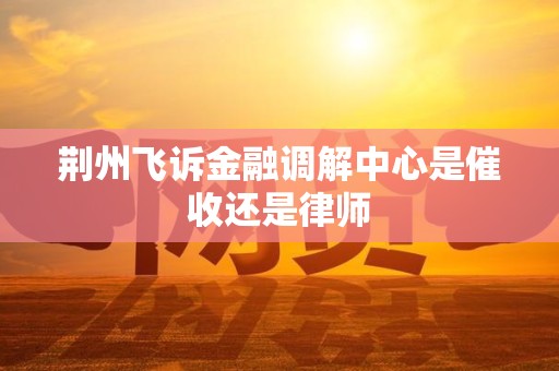 荆州飞诉金融调解中心是催收还是律师