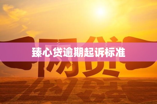 臻心贷逾期起诉标准