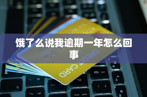 饿了么说我逾期一年怎么回事