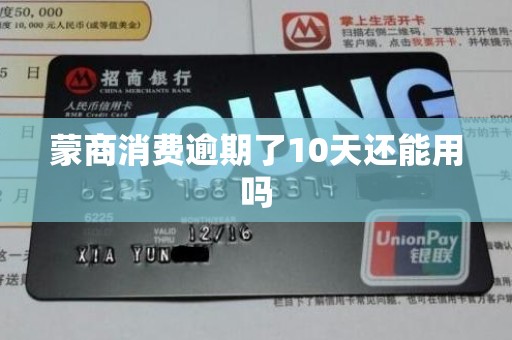 蒙商消费逾期了10天还能用吗