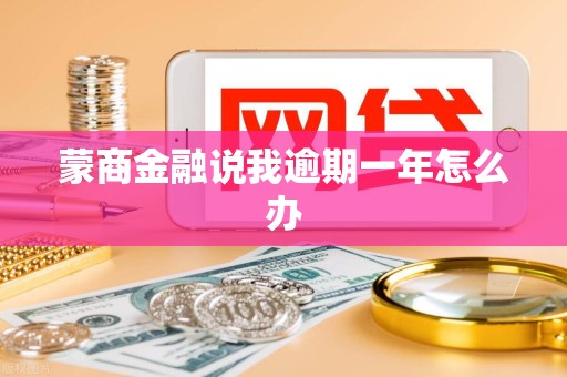 蒙商金融说我逾期一年怎么办