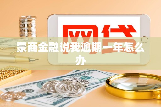 蒙商金融说我逾期一年怎么办