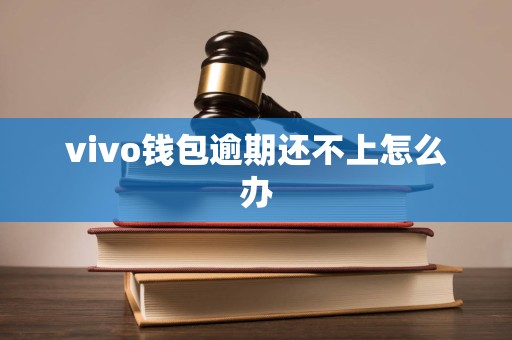 vivo钱包逾期还不上怎么办