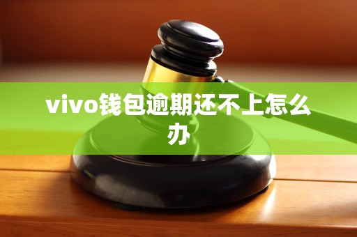 vivo钱包逾期还不上怎么办