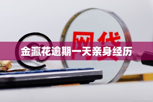 金瀛花逾期一天亲身经历