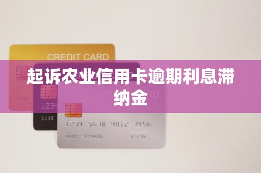 起诉农业信用卡逾期利息滞纳金