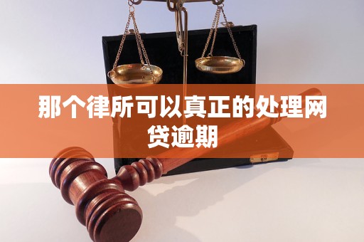 那个律所可以真正的处理网贷逾期