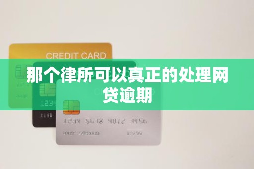 那个律所可以真正的处理网贷逾期