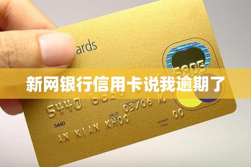 新网银行信用卡说我逾期了
