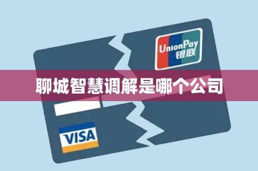 聊城智慧调解是哪个公司
