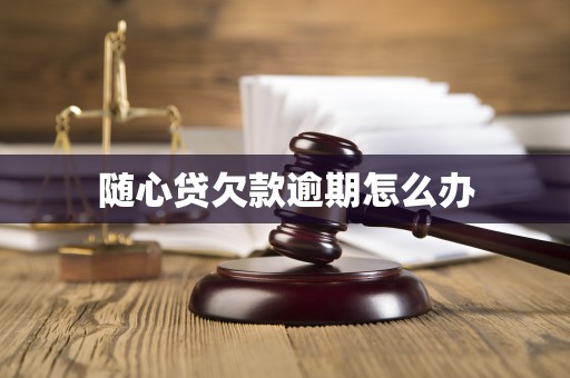 随心贷欠款逾期怎么办