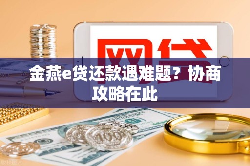 金燕e贷还款遇难题?协商攻略在此