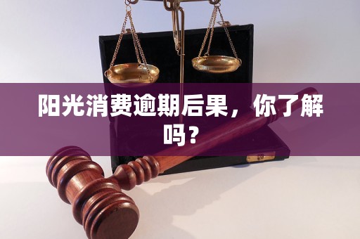 阳光消费逾期后果,你了解吗?