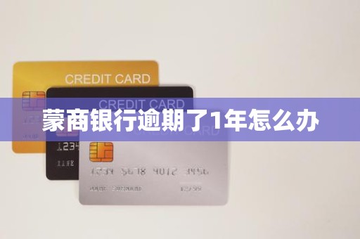蒙商银行逾期了1年怎么办