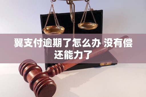 翼支付逾期了怎么办 没有偿还能力了