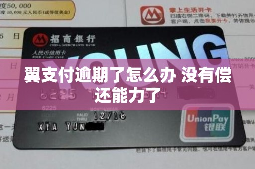 翼支付逾期了怎么办 没有偿还能力了