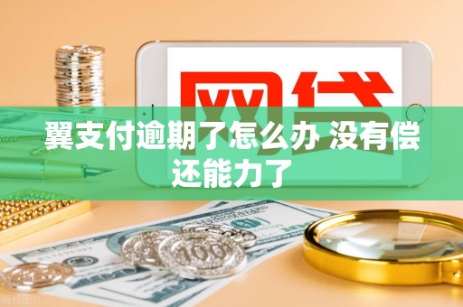 翼支付逾期了怎么办 没有偿还能力了