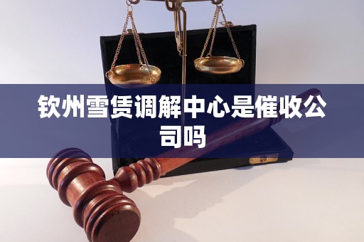钦州雪赁调解中心是催收公司吗