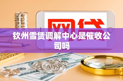 钦州雪赁调解中心是催收公司吗
