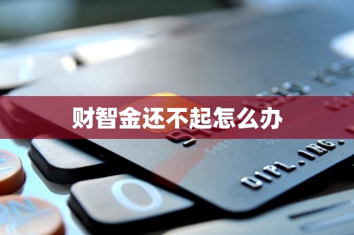 财智金还不起怎么办