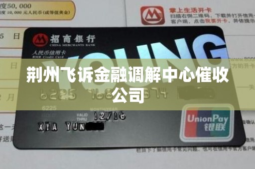 荆州飞诉金融调解中心催收公司