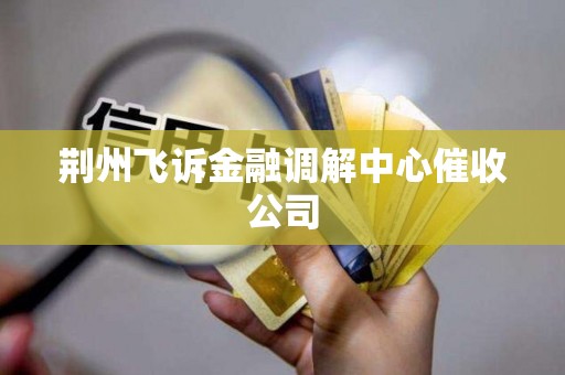 荆州飞诉金融调解中心催收公司