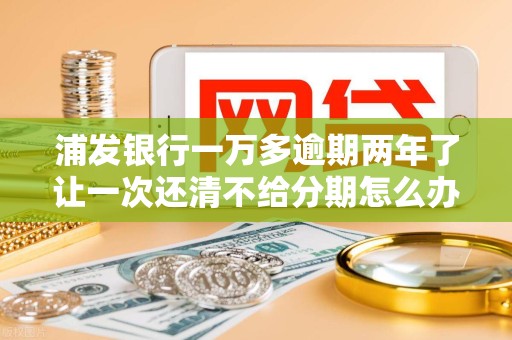 浦发银行一万多逾期两年了让一次还清不给分期怎么办