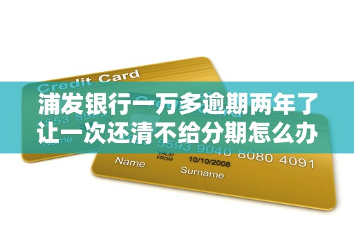 浦发银行一万多逾期两年了让一次还清不给分期怎么办