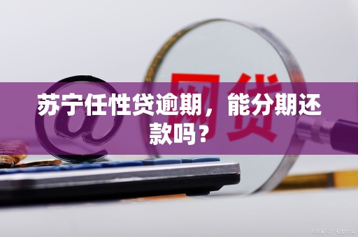 苏宁任性贷逾期,能分期还款吗?