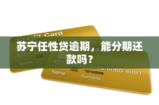 苏宁任性贷逾期,能分期还款吗?