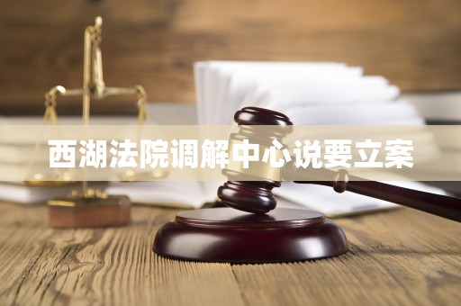 西湖法院调解中心说要立案