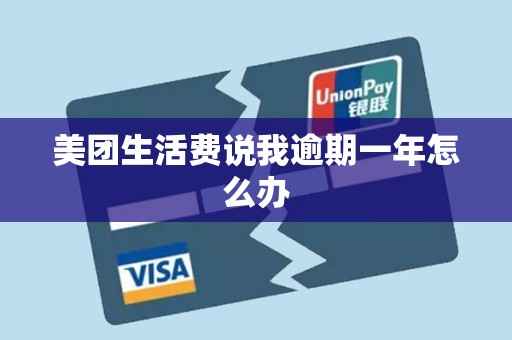 美团生活费说我逾期一年怎么办