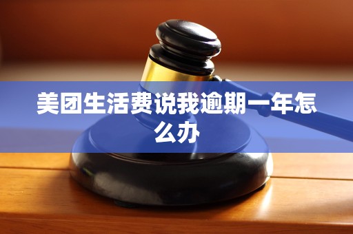 美团生活费说我逾期一年怎么办