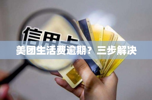 美团生活费逾期?三步解决
