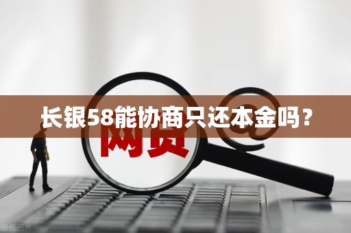 长银58能协商只还本金吗?