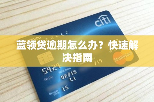 蓝领贷逾期怎么办?快速解决指南