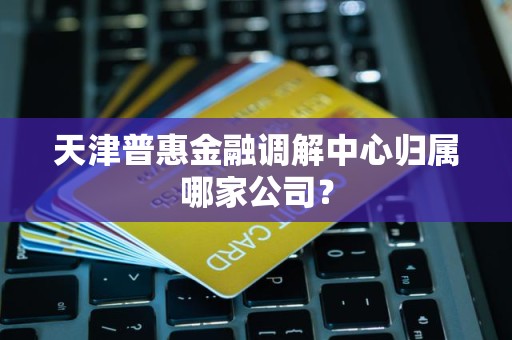 天津普惠金融调解中心归属哪家公司?